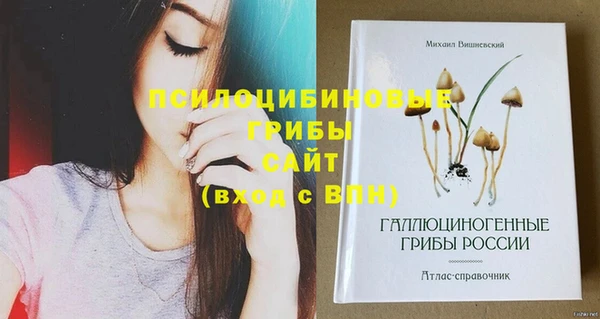 хмурый Горнозаводск