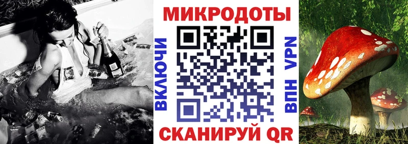 наркотики Воркута Галлюциногенные грибы прущие грибы