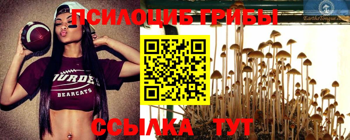 Псилоцибиновые грибы GOLDEN TEACHER  Вход с VPN  Воркута  сколько стоит  Галлюциногенные грибы Psilocybine cubensis 